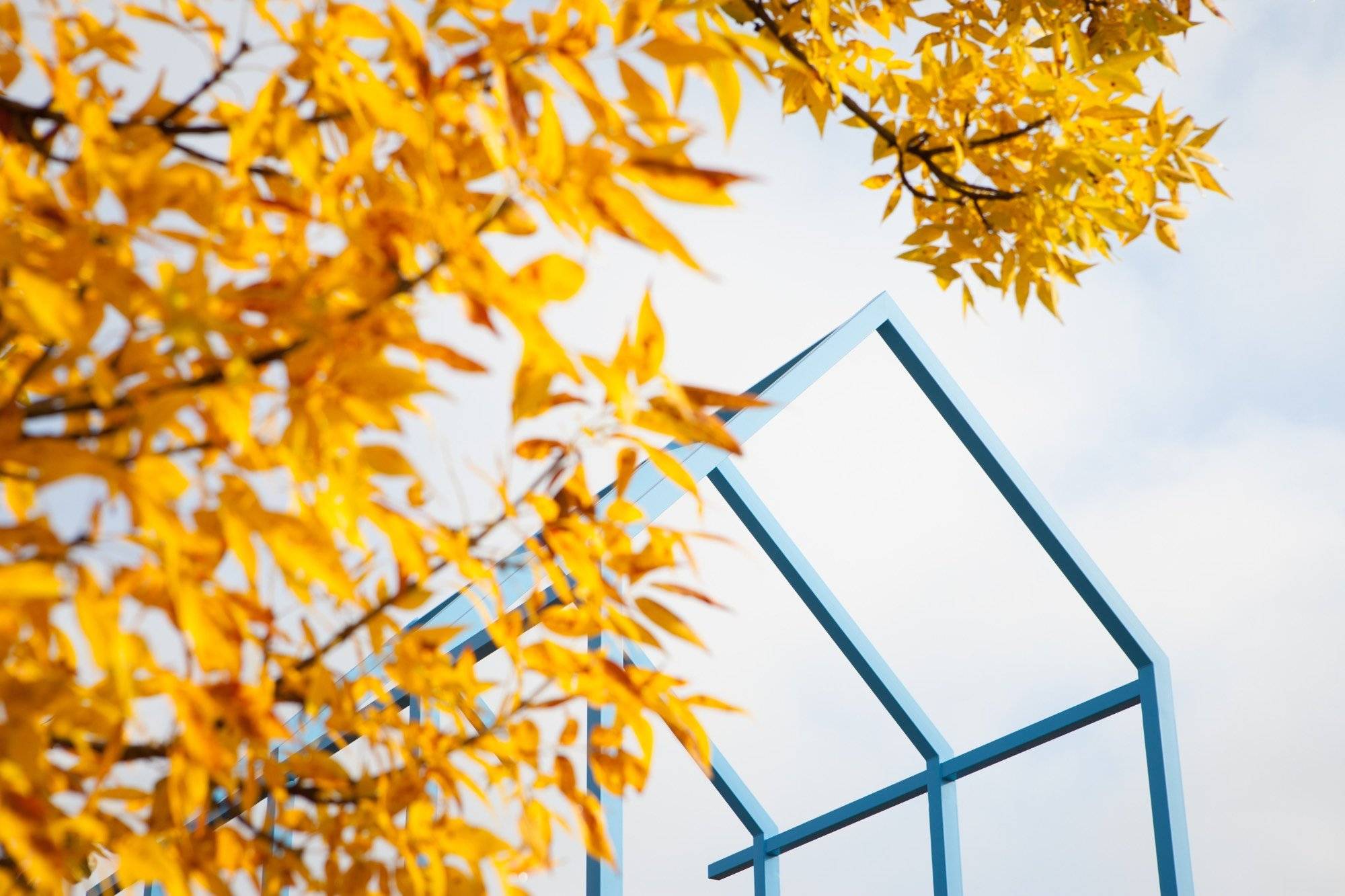 transformational link sculpture in the spring